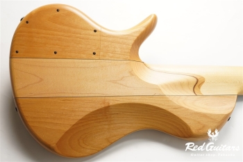 Platinum Series Single-Cut , e-volution 5 - Macassar Ebony